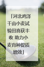 河北鸡泽千亩小麦试验田喜获丰收 助力小麦育种提质增效