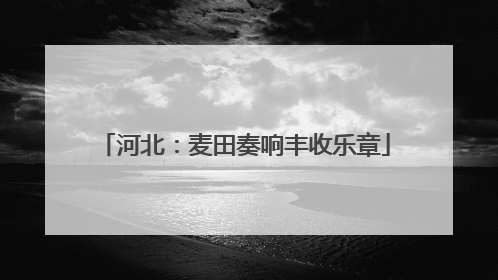 河北：麦田奏响丰收乐章