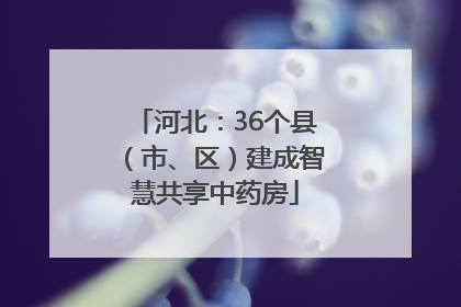 河北：36个县（市、区）建成智慧共享中药房