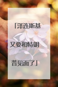 泽连斯基又要和特朗普见面了