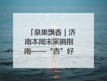 泉果飘香｜济南本周末采摘指南——“杏”好遇见你！