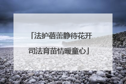 法护蓓蕾静待花开 司法育苗情暖童心