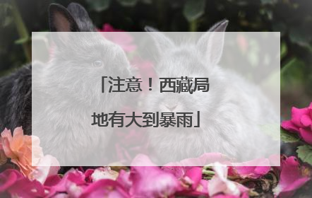 注意！西藏局地有大到暴雨
