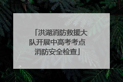 洪湖消防救援大队开展中高考考点消防安全检查