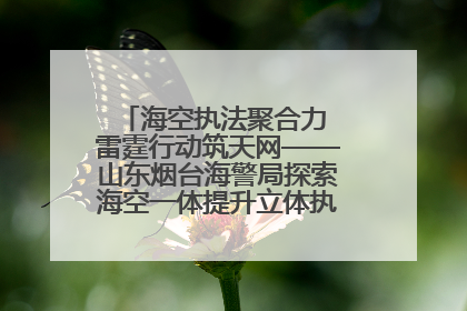 海空执法聚合力 雷霆行动筑天网——山东烟台海警局探索海空一体提升立体执法效能纪实