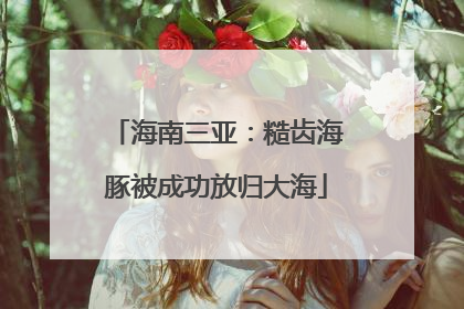 海南三亚：糙齿海豚被成功放归大海