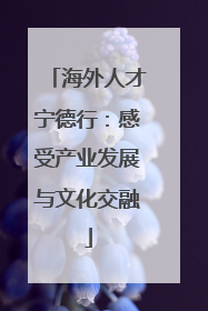 海外人才宁德行：感受产业发展与文化交融