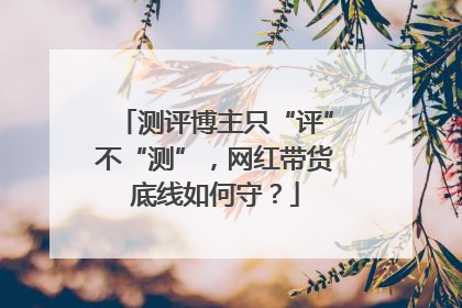测评博主只“评”不“测”，网红带货底线如何守？