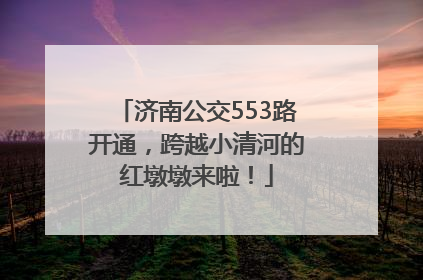 济南公交553路开通，跨越小清河的红墩墩来啦！