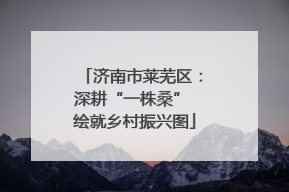 济南市莱芜区：深耕“一株桑” 绘就乡村振兴图
