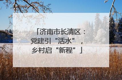 济南市长清区：党建引“活水”，乡村启“新程”