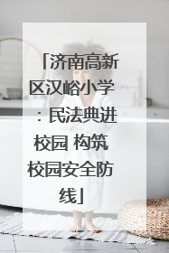 济南高新区汉峪小学：民法典进校园 构筑校园安全防线