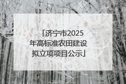 济宁市2025年高标准农田建设拟立项项目公示