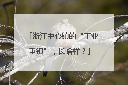 浙江中心镇的“工业重镇”，长啥样？