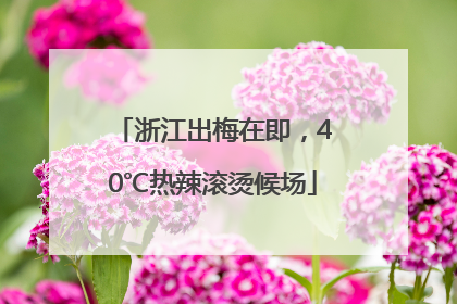 浙江出梅在即，40℃热辣滚烫候场