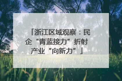 浙江区域观察：民企“青蓝接力”折射产业“向新力”