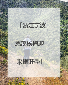 浙江宁波慈溪杨梅迎采摘旺季