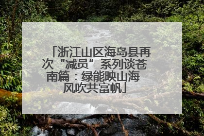 浙江山区海岛县再次“减员”系列谈苍南篇：绿能映山海 风吹共富帆