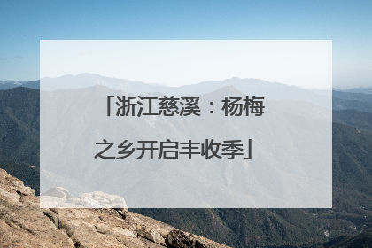 浙江慈溪：杨梅之乡开启丰收季