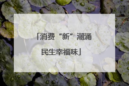 消费“新”潮涌 民生幸福味