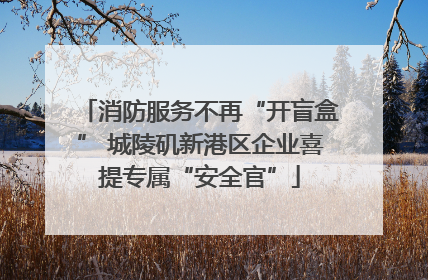 消防服务不再“开盲盒” 城陵矶新港区企业喜提专属“安全官”