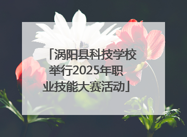 涡阳县科技学校举行2025年职业技能大赛活动