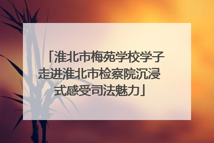 淮北市梅苑学校学子走进淮北市检察院沉浸式感受司法魅力