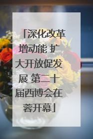 深化改革增动能 扩大开放促发展 第二十届西博会在蓉开幕