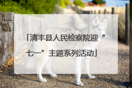 清丰县人民检察院迎“七一”主题系列活动