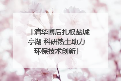 清华博后扎根盐城亭湖 科研热土助力环保技术创新