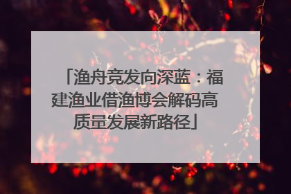 渔舟竞发向深蓝：福建渔业借渔博会解码高质量发展新路径