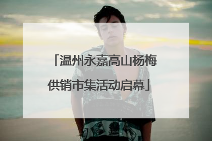 温州永嘉高山杨梅供销市集活动启幕