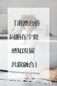 港澳台侨同胞在宁夏感知发展 共叙融合