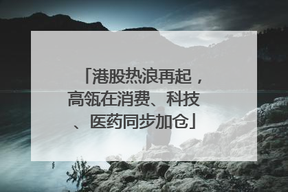 港股热浪再起，高瓴在消费、科技、医药同步加仓