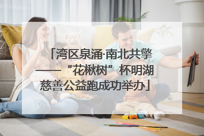 湾区泉涌·南北共擎——“花楸树”杯明湖慈善公益跑成功举办