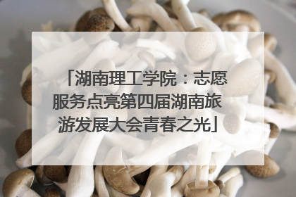 湖南理工学院：志愿服务点亮第四届湖南旅游发展大会青春之光