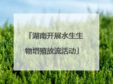 湖南开展水生生物增殖放流活动