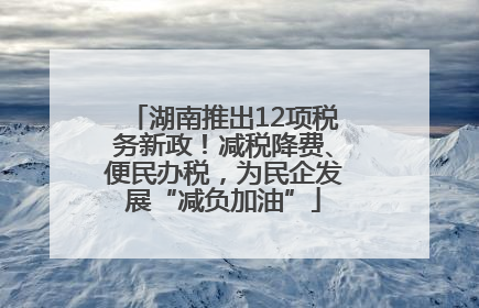 湖南推出12项税务新政！减税降费、便民办税，为民企发展“减负加油”