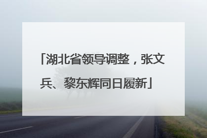 湖北省领导调整，张文兵、黎东辉同日履新