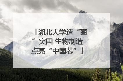 湖北大学造“菌”突围 生物制造点亮“中国芯”