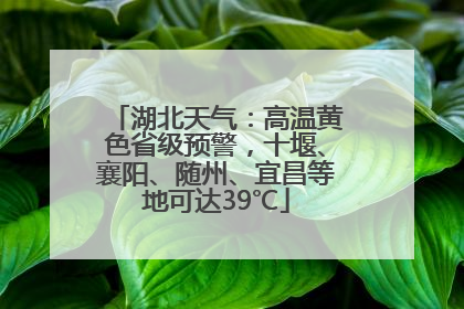 湖北天气：高温黄色省级预警，十堰、襄阳、随州、宜昌等地可达39℃