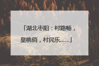 湖北枣阳：村路畅，皇桃俏，村民乐……