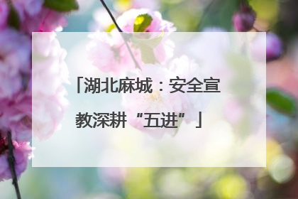 湖北麻城：安全宣教深耕“五进”