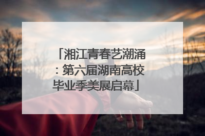 湘江青春艺潮涌：第六届湖南高校毕业季美展启幕