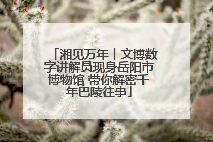 湘见万年丨文博数字讲解员现身岳阳市博物馆 带你解密千年巴陵往事