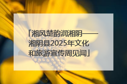 湘风楚韵润湘阴——湘阴县2025年文化和旅游宣传周见闻