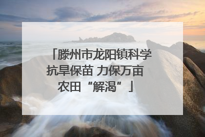 滕州市龙阳镇科学抗旱保苗 力保万亩农田“解渴”