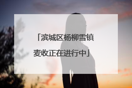 滨城区杨柳雪镇麦收正在进行中
