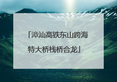 漳汕高铁东山跨海特大桥栈桥合龙