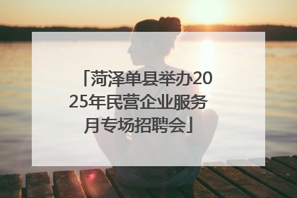 菏泽单县举办2025年民营企业服务月专场招聘会
